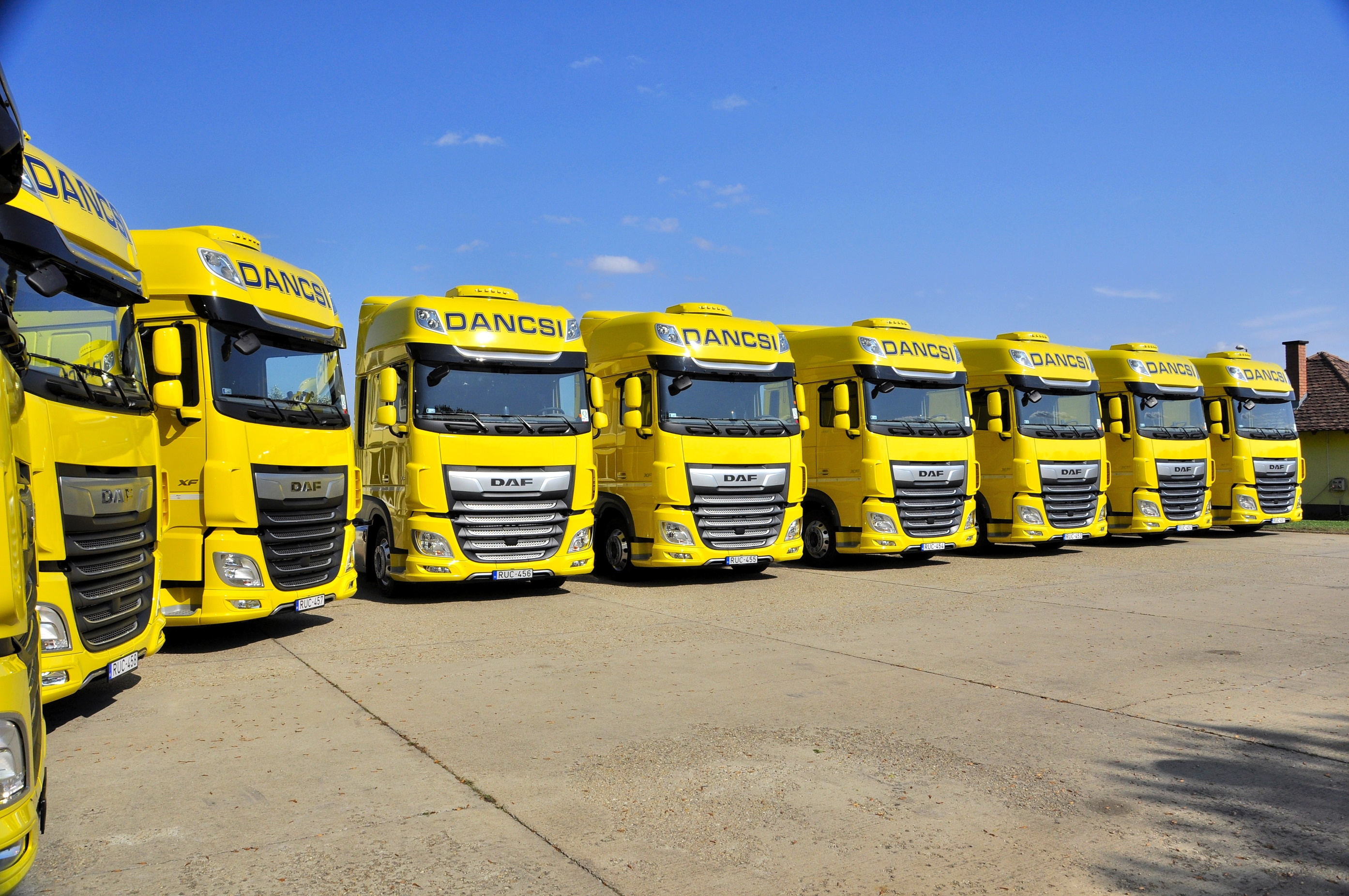 Dancsi es tarsa DAF XF 480